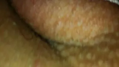 পর্যটক