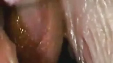 ডে উইথঅ্যাপর্ন স্টার