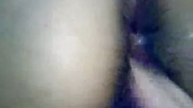 পিকনিক