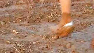 মোয়ার ক্যান্ডি