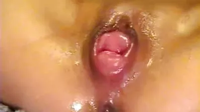মোরগ
